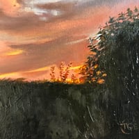 Image 2 of Sunset garden study