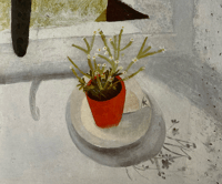 Image 6 of Unknown Colour Paintings, Letters, Writings by Winifred Nicholson