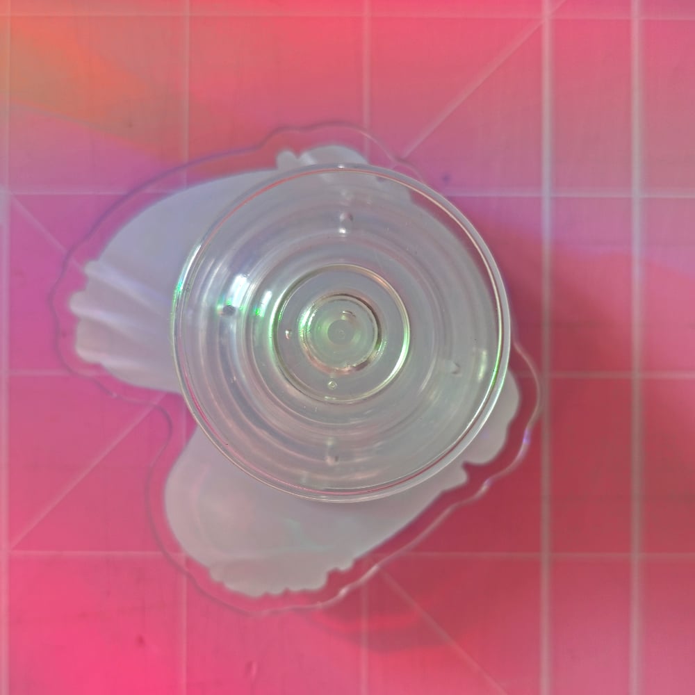 Image of Duck Pond Cute Spinning Acrylic Phone Grip Fidget Toy