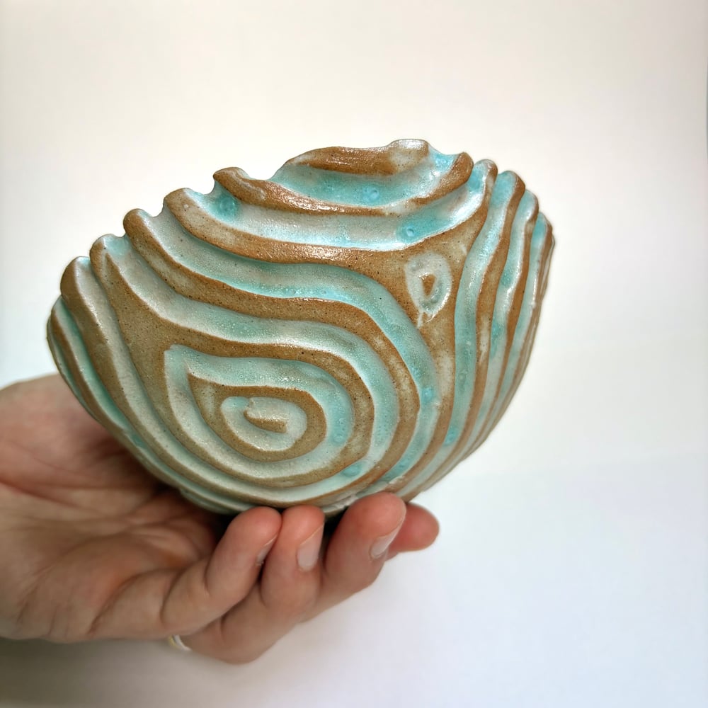 Image of Sky Coral dish