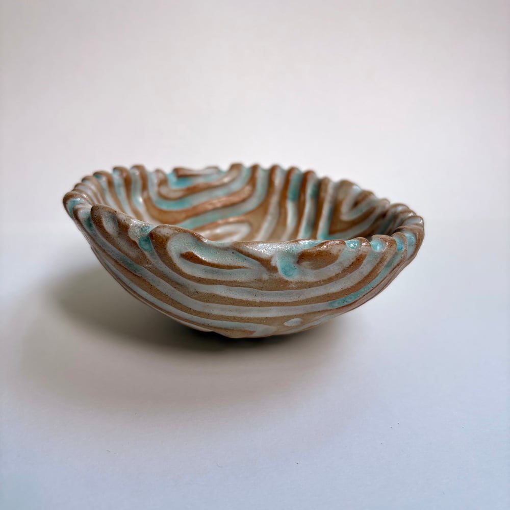 Image of Sky Coral dish