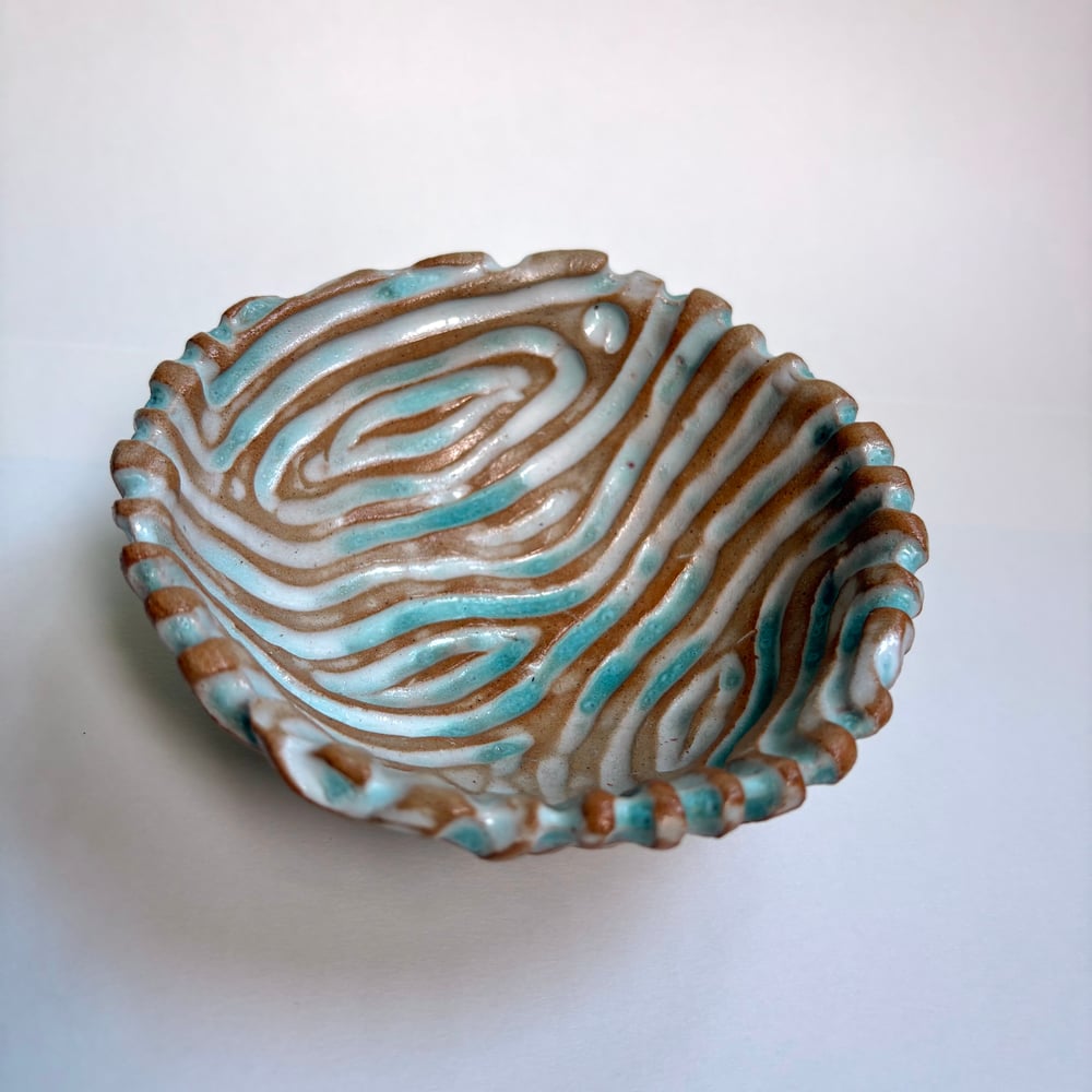 Image of Sky Coral dish