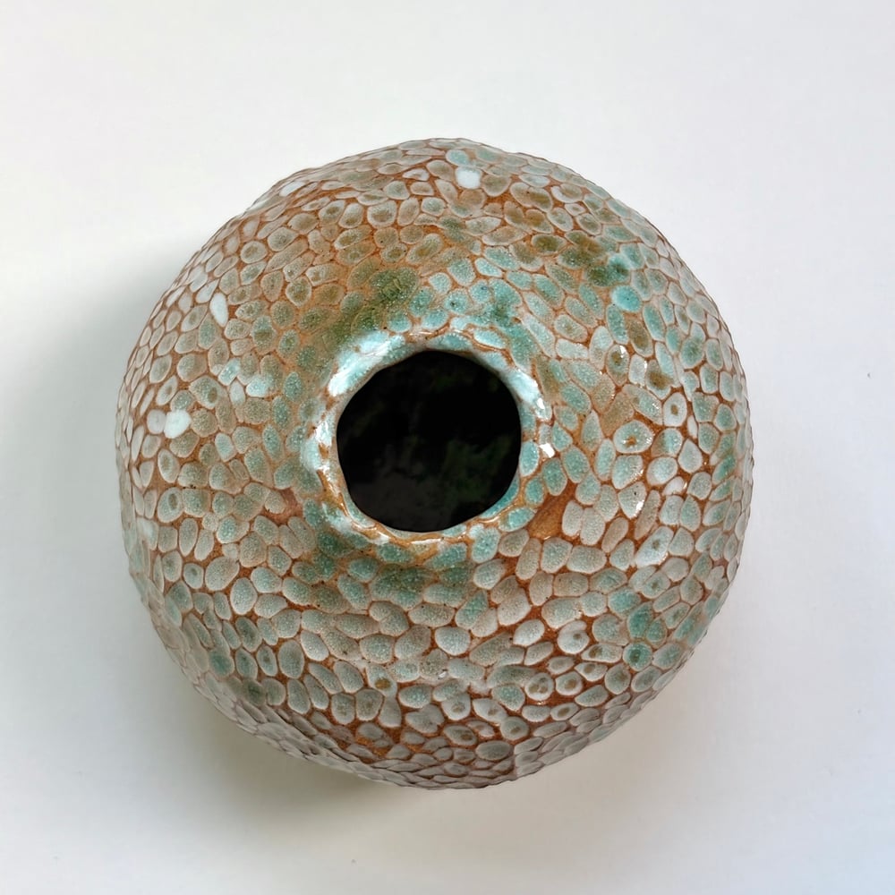 Image of Rockpool Pot