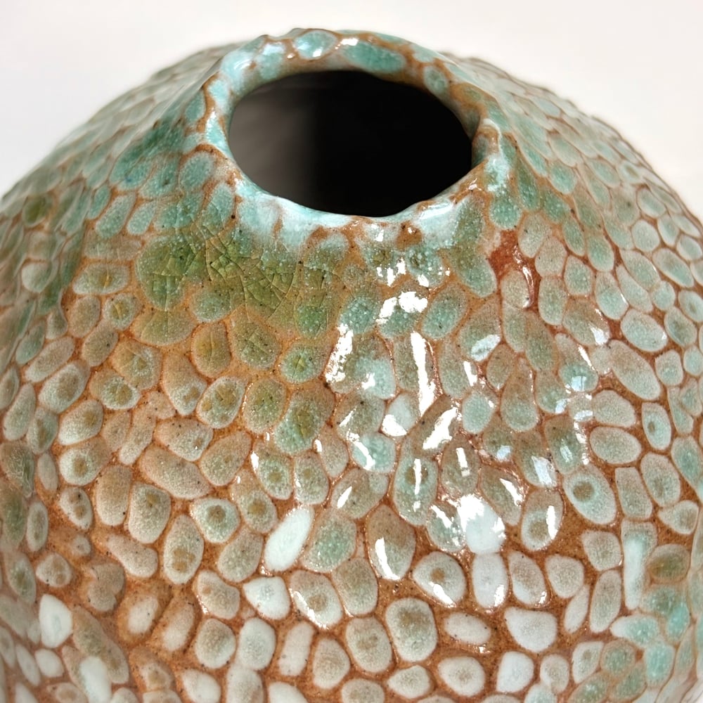 Image of Rockpool Pot