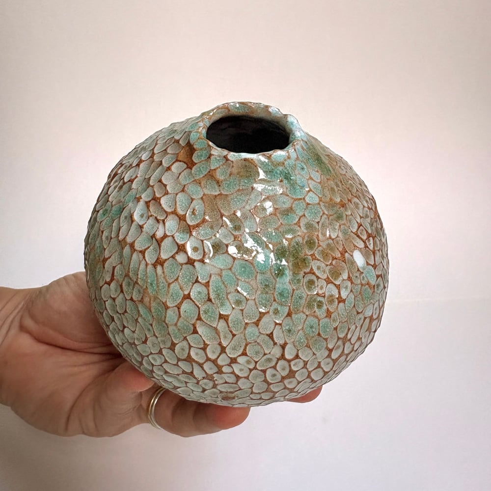 Image of Rockpool Pot