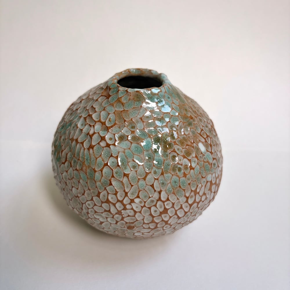 Image of Rockpool Pot