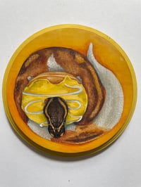 Image 1 of Doughnut Loving Snake Painting