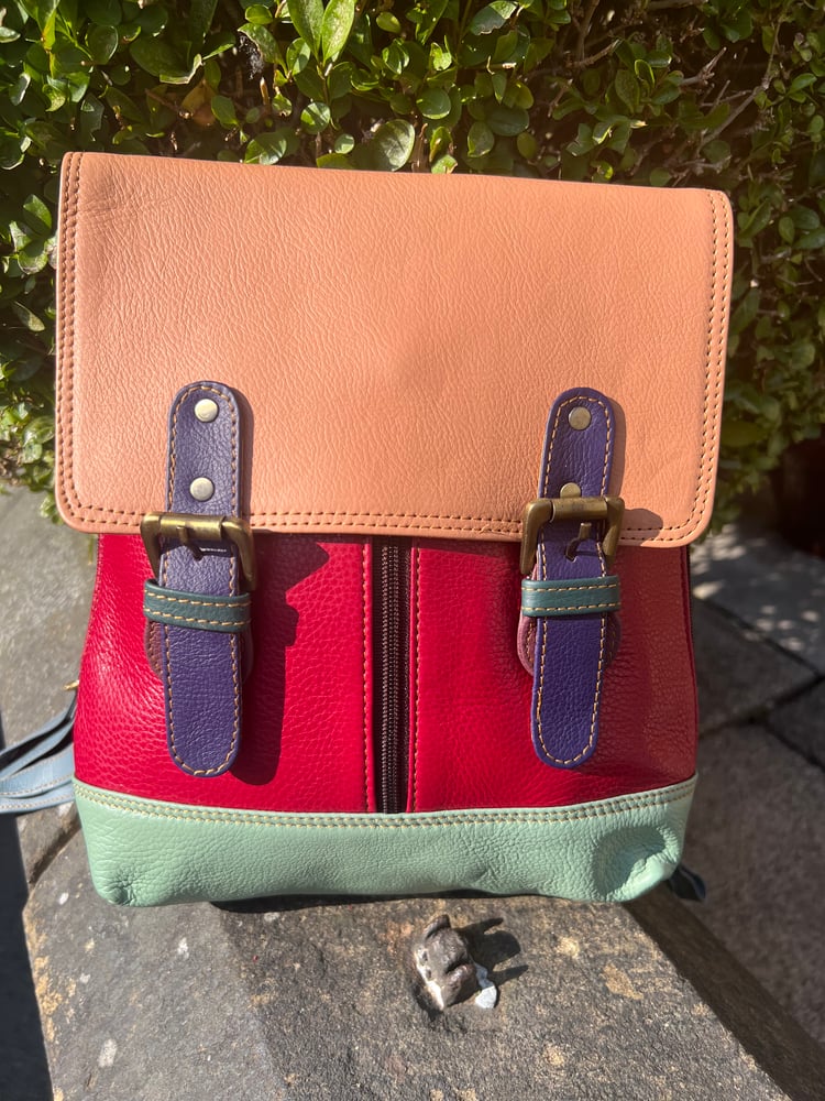 Image of Harlequin Collection - Buffalo Leather Small Backpack - AA2