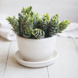 Image of Matte White Succulent Pot, Handcrafted Planter with Drip Dish, Ceramic Pottery Made in USA