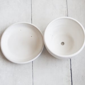 Image of Matte White Succulent Pot, Handcrafted Planter with Drip Dish, Ceramic Pottery Made in USA