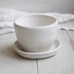Image of Matte White Succulent Pot, Handcrafted Planter with Drip Dish, Ceramic Pottery Made in USA