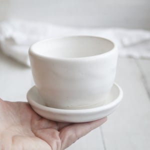 Image of Matte White Succulent Pot, Handcrafted Planter with Drip Dish, Ceramic Pottery Made in USA