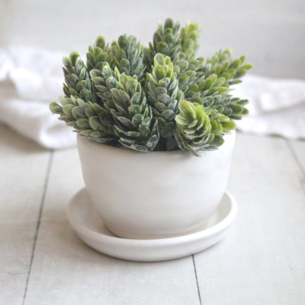 Image of Matte White Succulent Pot, Handcrafted Planter with Drip Dish, Ceramic Pottery Made in USA