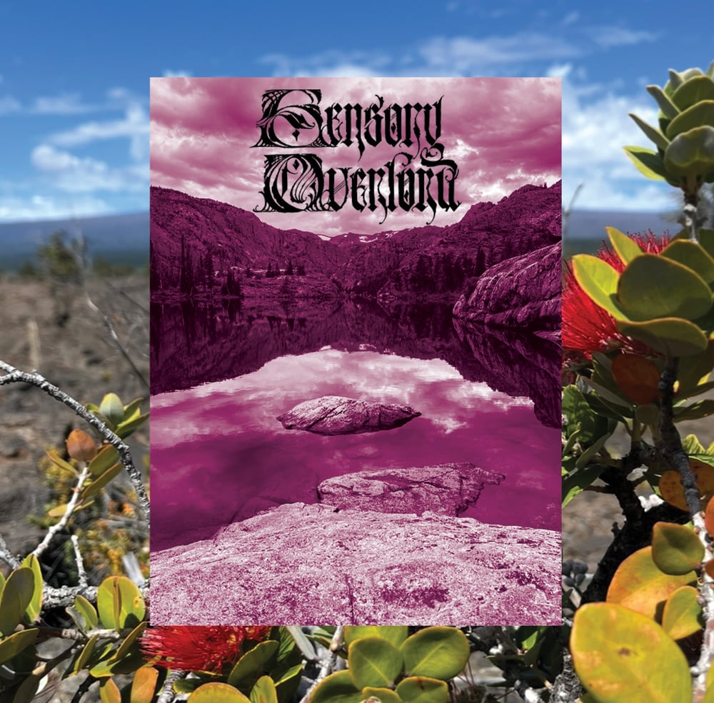 Image of SENSORY OVERLORD (CASSETTE)