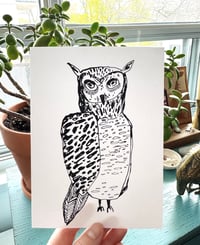 owl print