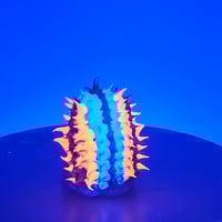 Image 4 of Spikey Gus - clear white wash