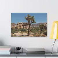 Image 3 of Joshua Tree Canvas Print 