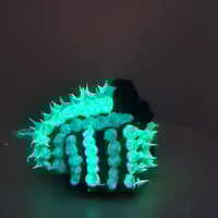 Image 5 of Spikey Webster - yellow/green imperfect face