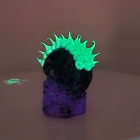 Image 4 of Spikey skelly spikey micro