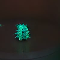Image 8 of Spikey gus + micro spikey