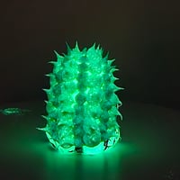 Image 7 of Spikey gus + micro spikey