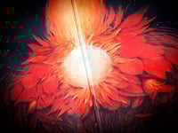 Image 4 of Dreadnought "Emergence" LP