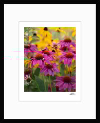 Image 2 of PRINT: BUMBLE BEES NAPPING ON FLOWERS