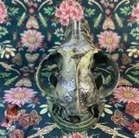 Image 5 of Metal Nature