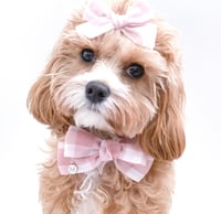 Image 3 of GINGHAM BOW