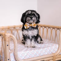 Image 2 of GINGHAM BOW