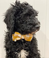 Image 4 of GINGHAM BOW