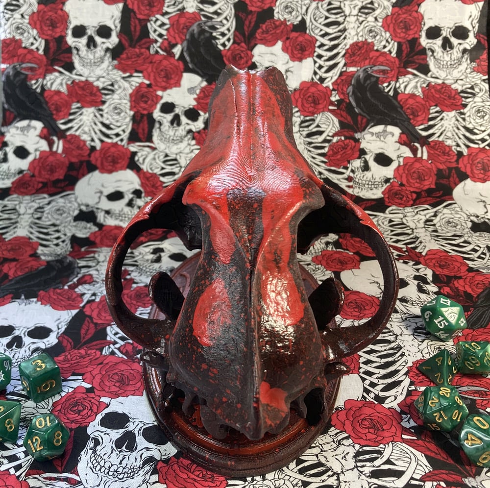 Barbarian Wolf Skull