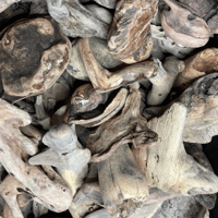 Image 3 of Natural ocean driftwood