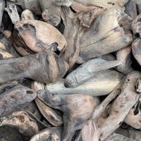 Image 1 of Natural ocean driftwood