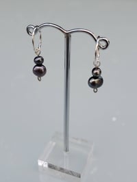Image 2 of Double Black Pearl Sleepers
