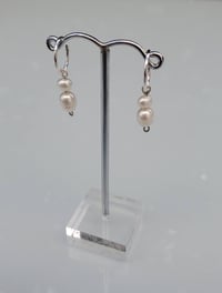 Image 2 of Double White Pearl Sleepers