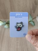 Pin's - exclusif juin