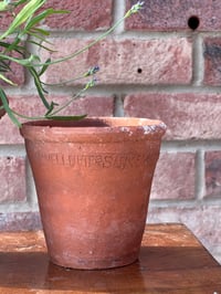Image 1 of Vintage Sankey Terracotta Pot
