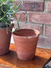 Image 3 of Vintage Sankey Terracotta Pot