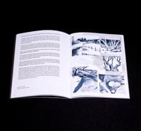 Image 3 of BOULDERDASH: stones, drones & noise // issue #5 