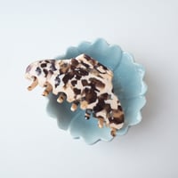 Image 6 of  *NEW* Missy Hair Claw In Conch Shell