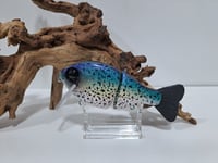Image 1 of Sensi Wake