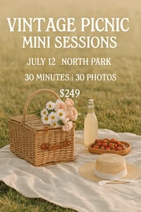 Vintage Picnic Mini Sessions