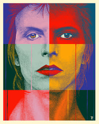 ZIGGY WARHOL Mini Print