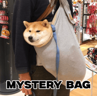 💥 MYSTERY BAG