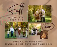 Fall Micro Minis