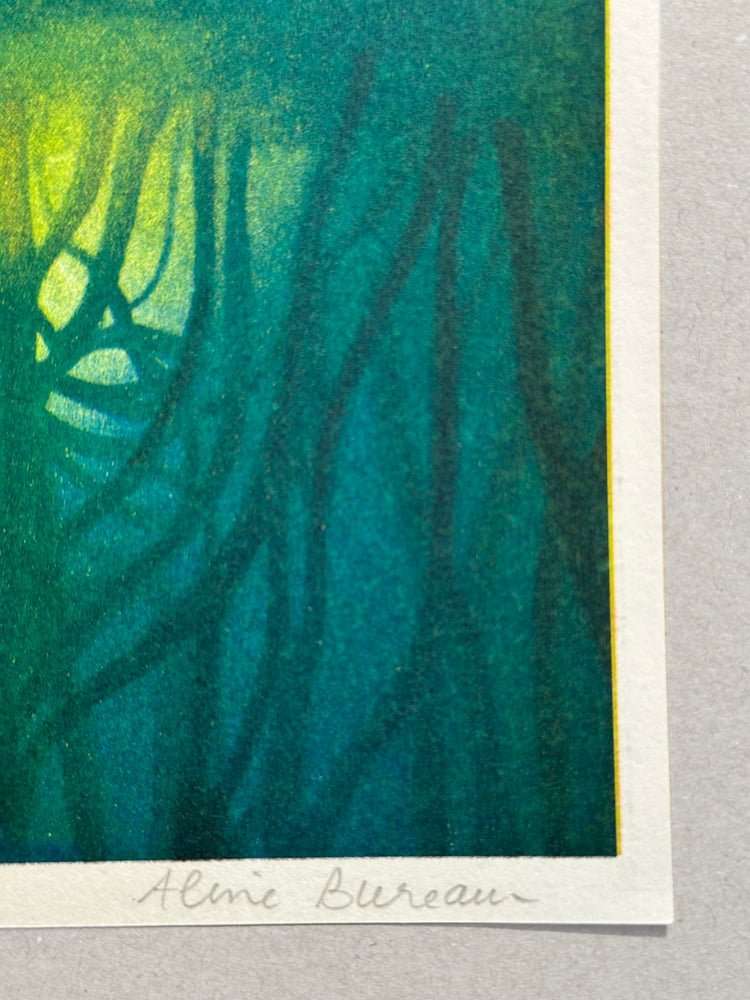 Image of Forêt — Aline Bureau