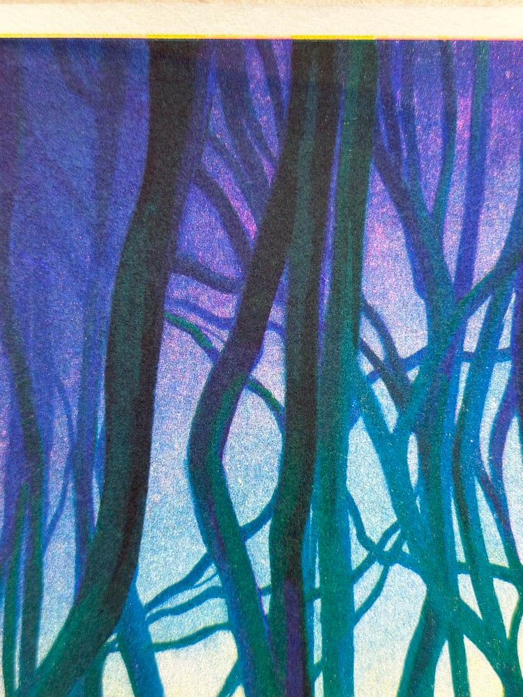 Image of Forêt — Aline Bureau