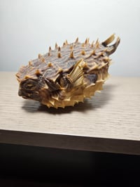 Image 1 of Puffer Fish