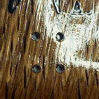 Image 5 of Last teeth